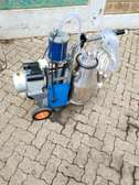 Single Barrel Milking Machine