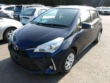 Toyota vitz 1000cc navy blue