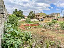 0.2 ha Land at Thogoto