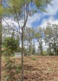 Prime Rural Land Cleared for Agriculture & Development