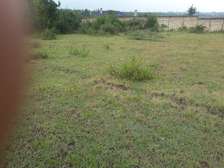 Prime 2 Acre Residential Land for Sale in Ongata Rongai