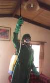 Pest Control and Fumigation Services Mwihoko