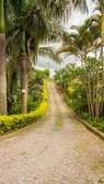Landscaping design solutions