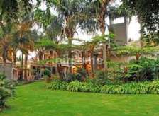 Professional Landscaping & Gardening Services in Muthaiga