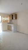 Studio Apartment in Ruaka