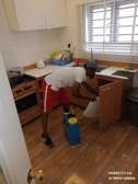 Pest Control and fumigation Services Ruiru