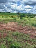 1/8th Acre Plot of Land For Sale in Thika