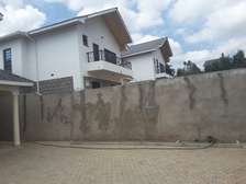 Elegant 4 BR Houses plus Sqs in Ongata Rongai