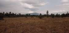 Thika Gatuanyaga 50 by 100 Plot for Sale