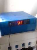Automatic Egg Incubator. 192 egg capacity