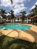 6 Bed House with En Suite in Nyari