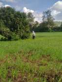 50*100 plots for sale in matuu