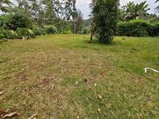 4 Bed House with En Suite in Nyari