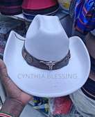 New Fashion cowboy hats