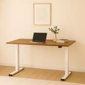 120cm Electric Height Adjustable Desk