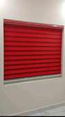 Zebra blinds window blinds
