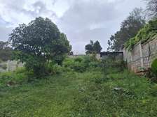 0.5 ac Residential Land at Runda