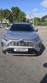 TOYOTA RAV4 2019 NEW SHAPE