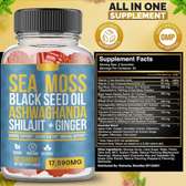 Sea Moss All-IN-1 Gummies