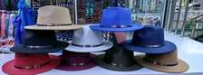 Fedora hats in various colors