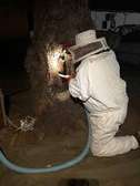 Bee Control Services Nairobi,Karen, Langata, Lavington, Gigiri, Muthaiga, Brookside, Spring Valley, Loresho, Kilimani, Kileleshwa, Hurlingham, Runda, Kitisuru, Nyari, Kyuna, Lower Kabete, Westlands, and Highridge.