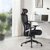 Orthopedic Executive Office Chair