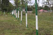 Kenol 50x100 Plots For Sale