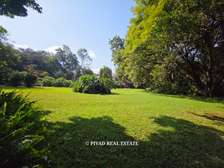 1.25 ac Land at Old Kitisuru
