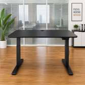 Ergonomic Adjustable Standing Desk