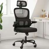 Ergonomic Office Chair with Lumbar Support Adjustable