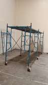 Quality scaffolds available