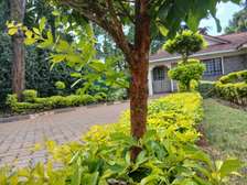 2 Bed House in Runda