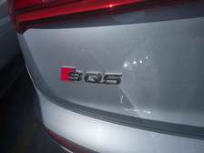Audi s q5