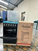 *50*55 Olelon 3+1 standing cooker
