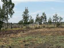 Prime 1/4 Acre Plots For Sale In Kitengela