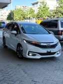 Honda shuttle newshape
