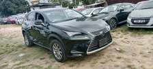 LEXUS NX300,2019 MODEL