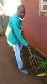 Professional Gardeners for Hire in Ruiru Nairobi