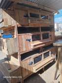 BE A FAMILIONARE 🔥🔥🔥 GRAB YOUR CHICKEN COOP  WITH OFFER