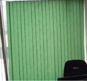 green vertical blinds