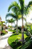 Gardening and landscaping