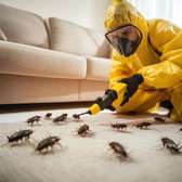 Bedbugs removal/cockroches solutions
