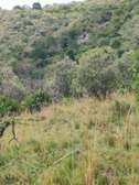 Land in Narok