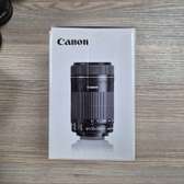 Canon EF-S 55-250mm f/4-5.6 IS STM Lens (Brand New)