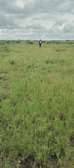 Commercial plots for sale in Kajiado