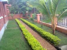Landscaping services provider