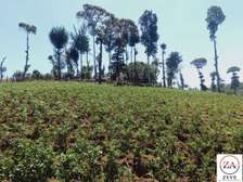 3.5 ac Land at Narok - Nakuru Highway
