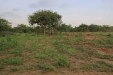 1/2Acre land for sale in matuu ikatini.