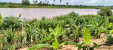 80,000 Acres Touching Galana River in Kilifi Is For Sale