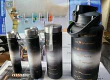 3in1  water Bottles